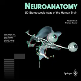 Hirsch / Kramer |  Neuroanatomy | Buch |  Sack Fachmedien