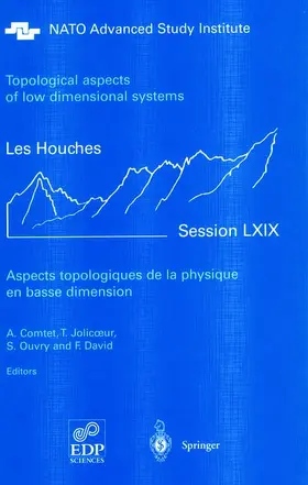 Comtet / David / Jolicoeur |  Aspects topologiques de la physique en basse dimension. Topological aspects of low dimensional systems | Buch |  Sack Fachmedien