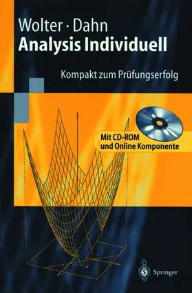 Dahn / Wolter |  Analysis Individuell | Buch |  Sack Fachmedien