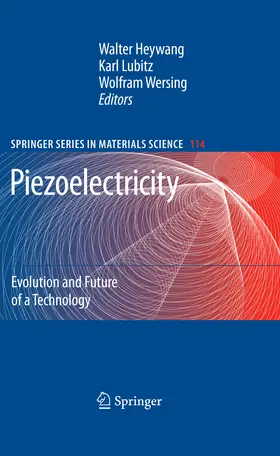 Heywang / Lubitz / Wersing | Piezoelectricity | E-Book | sack.de
