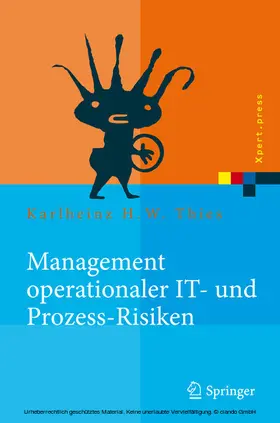 Thies |  Management operationaler IT- und Prozess-Risiken | eBook | Sack Fachmedien