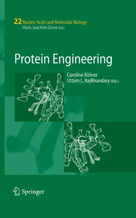 Koehrer / Köhrer / RajBhandary |  Protein Engineering | eBook | Sack Fachmedien