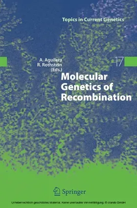 Aguilera / Rothstein |  Molecular Genetics of Recombination | eBook | Sack Fachmedien