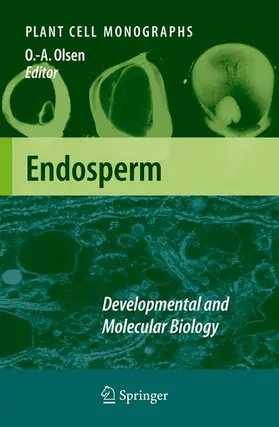 Olsen |  Endosperm | Buch |  Sack Fachmedien