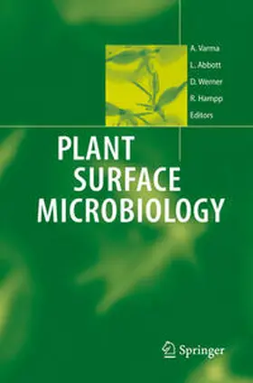 Varma / Hampp / Abbott |  Plant Surface Microbiology | Buch |  Sack Fachmedien
