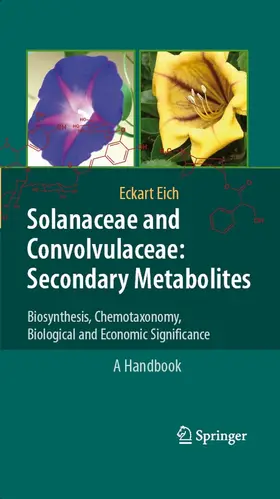 Giannotti / Pedreschi | Mobility, Data Mining and Privacy | E-Book | www2.sack.de