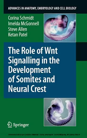 Schmidt / McGonnell / Allen | The Role of Wnt Signalling in the Development of Somites and Neural Crest | E-Book | sack.de