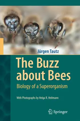 Tautz |  The Buzz about Bees | Buch |  Sack Fachmedien