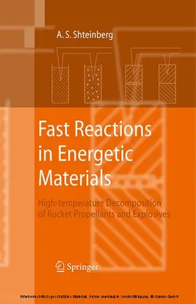 Shteinberg |  Fast Reactions in Energetic Materials | eBook | Sack Fachmedien