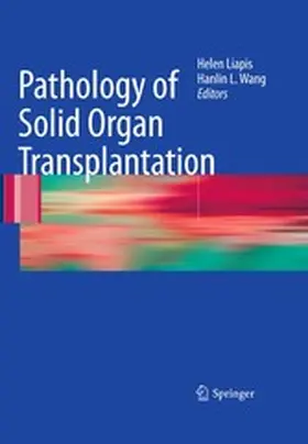 Liapis / Wang |  Pathology of Solid Organ Transplantation | eBook | Sack Fachmedien