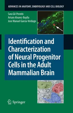 Gil-Perotín / Alvarez-Buylla / Garcia-Verdugo |  Identification and Characterization of Neural Progenitor Cells in the Adult Mammalian Brain | eBook | Sack Fachmedien