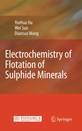 Hu / Sun / Wang |  Electrochemistry of Flotation of Sulphide Minerals | eBook | Sack Fachmedien