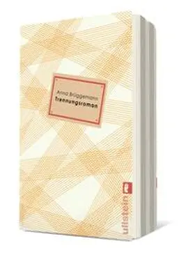 Brüggemann |  Trennungsroman | Buch |  Sack Fachmedien