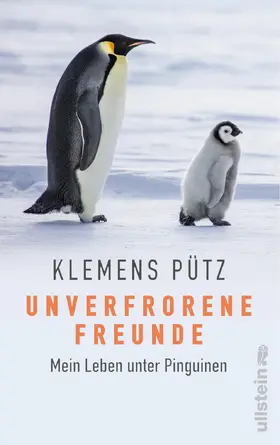Pütz / Batarilo | Unverfrorene Freunde | Buch | 978-3-550-05034-3 | sack.de