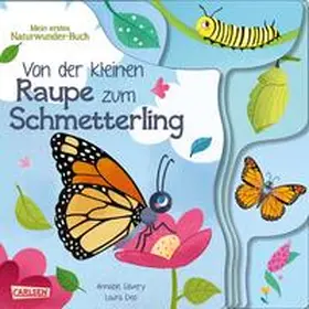 Savery |  Von der kleinen Raupe zum Schmetterling | Buch |  Sack Fachmedien