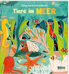 Hofmann |  Schau durch und entdecke: Tiere im Meer | Buch |  Sack Fachmedien