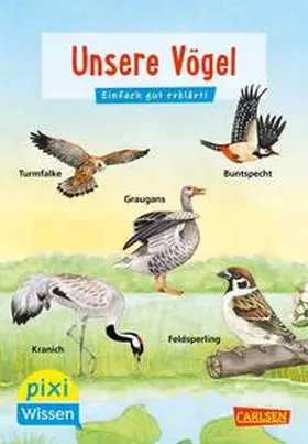 Oftring |  Pixi Wissen 108: VE 5 Unsere Vögel (5 Exemplare) | Buch |  Sack Fachmedien