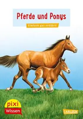 Sörensen |  Pixi Wissen 1: VE 5 Pferde und Ponys | Buch |  Sack Fachmedien
