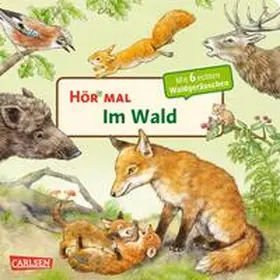 Möller |  Hör mal (Soundbuch): Im Wald | Buch |  Sack Fachmedien