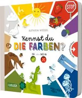  Kennst du die Farben? | Buch |  Sack Fachmedien