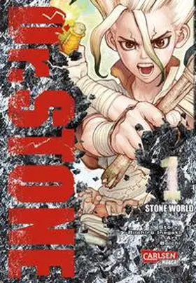 BOICHI / Inagaki |  Dr. Stone 1 | Buch |  Sack Fachmedien