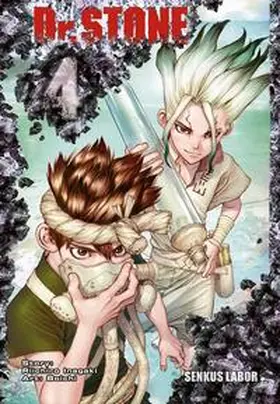 BOICHI / Inagaki |  Dr. Stone 4 | Buch |  Sack Fachmedien
