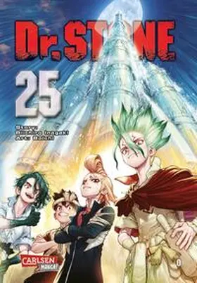 BOICHI / Inagaki |  Dr. Stone 25 | Buch |  Sack Fachmedien