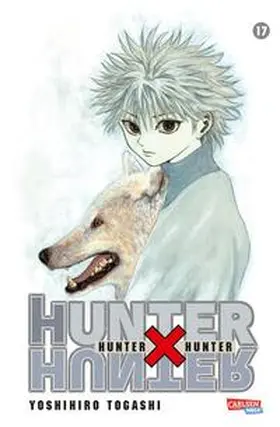 Togashi |  Hunter X Hunter 17 | Buch |  Sack Fachmedien