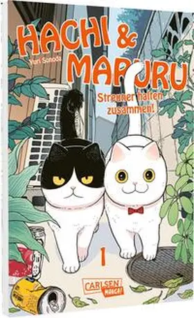 Sonoda |  Hachi & Maruru - Streuner halten zusammen! 1 | Buch |  Sack Fachmedien