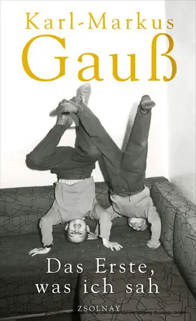 Gauß |  Das Erste, was ich sah | eBook | Sack Fachmedien