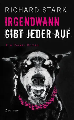 Stark |  Irgendwann gibt jeder auf | eBook | Sack Fachmedien