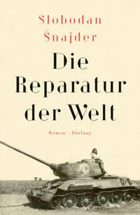 Šnajder |  Die Reparatur der Welt | Buch |  Sack Fachmedien