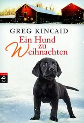 Kincaid |  Ein Hund zu Weihnachten | Buch |  Sack Fachmedien