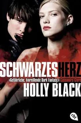 Black |  Schwarzes Herz | Buch |  Sack Fachmedien