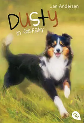 Andersen |  Dusty in Gefahr | Buch |  Sack Fachmedien