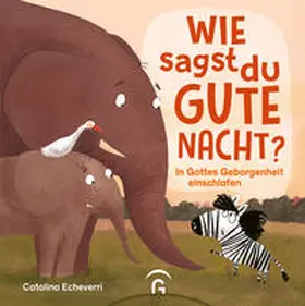 Echeverri / Nelson |  Wie sagst du Gute Nacht? | Buch |  Sack Fachmedien