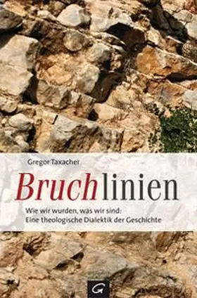 Taxacher |  Bruchlinien | Buch |  Sack Fachmedien