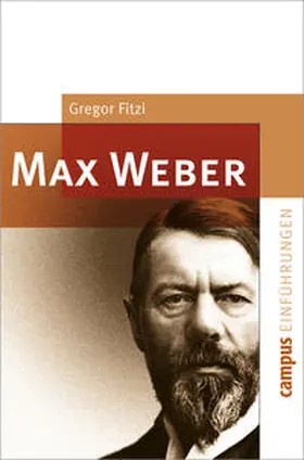 Fitzi | Max Weber | Buch | 978-3-593-38124-4 | sack.de