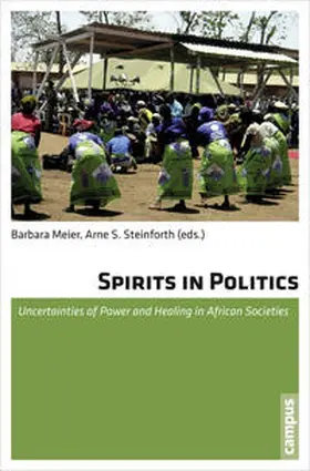 Meier / Steinforth |  Spirits in Politics | Buch |  Sack Fachmedien