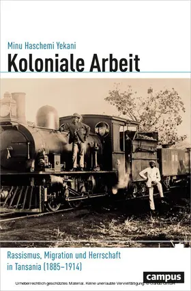 Haschemi Yekani |  Koloniale Arbeit | eBook | Sack Fachmedien