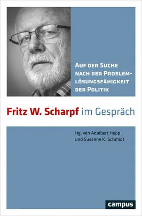 Hepp / Schmidt | Auf der Suche nach der Problemlösungsfähigkeit der Politik | E-Book | sack.de