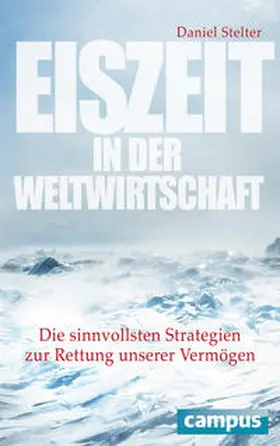 Stelter |  Eiszeit in der Weltwirtschaft | Buch |  Sack Fachmedien