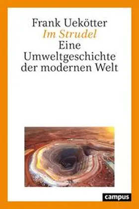 Uekötter | Im Strudel | Buch | 978-3-593-51315-7 | www2.sack.de