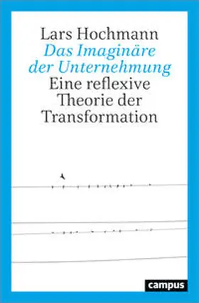 Hochmann |  Das Imaginäre der Unternehmung | Buch |  Sack Fachmedien