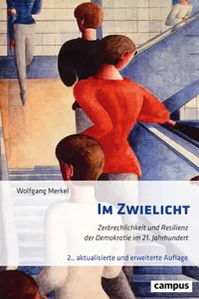 Merkel |  Im Zwielicht | Buch |  Sack Fachmedien