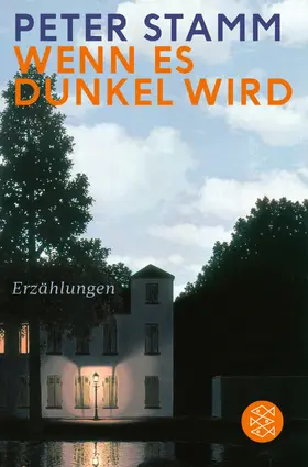 Stamm | Wenn es dunkel wird | Buch | 978-3-596-03125-2 | sack.de