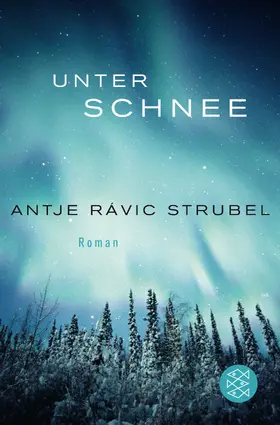 Strubel |  Unter Schnee | Buch |  Sack Fachmedien