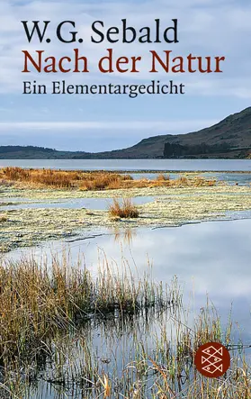 Sebald |  Nach der Natur | Buch |  Sack Fachmedien