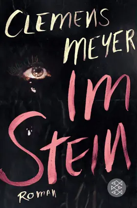 Meyer |  Im Stein | Buch |  Sack Fachmedien