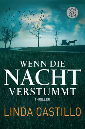 Castillo |  Wenn die Nacht verstummt | Buch |  Sack Fachmedien